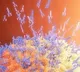 Antibodies in human body live for seven months