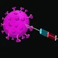 corana vaccination is resumbles to election program
