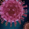 222 persons infected by only one person in east godavari dist