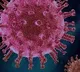 222 persons infected by only one person in east godavari dist