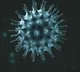 Corona pandemic triggers more panic in AP states