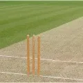 ICC brings new interim changes for cricket amidst corona