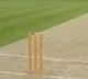 ICC brings new interim changes for cricket amidst corona