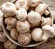 Mashrooms can stop corona virus