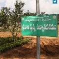 Pushpavanams in Tirumala for Flowers