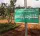 Pushpavanams in Tirumala for Flowers