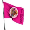 TRS gets into lead in Dubbaka
