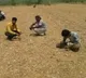 Search for Diamonds Started in Kurnool Dist