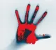 wife set ablaze Husband took video in Rajasthan