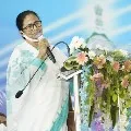Mamata Banarjee compared BJP cadre with Trump followers