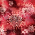 Ozone gas found to neutralise coronavirus
