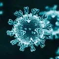 Five thousand more corona positive cases emerges in AP