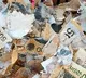korean tries washing money over virus fears suffers loss
