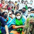 Case filed against TDP Leader Bhuma Akhila Priya