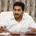 CM Jagan reviews crop planning in state