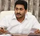 CM Jagan reviews crop planning in state
