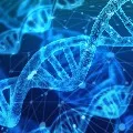 House panel advises govt to tread cautiously on DNA Bill
