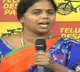 Volunteers are Vasul Rajas says Panchumarthi Anuradha