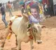 Junior NTR in Jallikattu