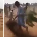 Men uprooted saplings in Pakistan