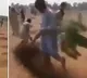 Men uprooted saplings in Pakistan