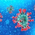 Indian doctors sniffs unusual virus symptoms in patients from November
