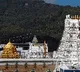 TTD gives clarification on not telecasting Ayodhya Bhoomi Pooja