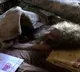 Three siblings in Rajkot lacked in a room nearly a decade