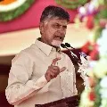 Chandrababu comments on AP DGP over phone tapping issues