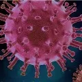 Andhra Pradesh corona virus update