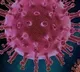 Andhra Pradesh corona virus update