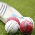 tournament played in Mohali but promoted as Uva T20 league in Sri Lanka