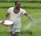 Aadhar Based Detabase of Farmers