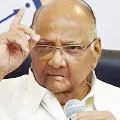Sharad Pawars sensational comments on CBIs probe in Sushants case