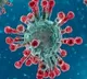 Effect of corona virus is less on children reveals a survey