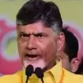 YSRCP goondas atrocities are increasing day by day says Chandrababu