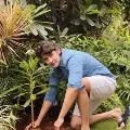 Mahesh Babu participates in Green India Challenge
