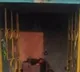 Unknow persons damaged idols of gods in Hyderabad temple