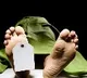 five dead while saving calf