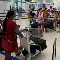 More domestic flights cancelled as people got confused