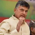 Chandrababu said TDP launches a website to solve corona issues
