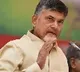 Chandrababu said TDP launches a website to solve corona issues