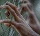 American court impose 600 years punishment to culprit