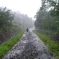 Heavy rains in telangana