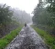 Heavy rains in telangana