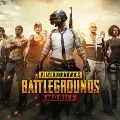 pubg makes youngster insane