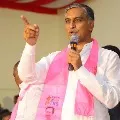 Harish Rao campaigns in Dubbaka