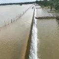ground water levels in Hyderabad raised