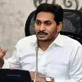 CM YS Jagan today leave for Idupulapaya