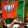 BJP appoints new state in charges